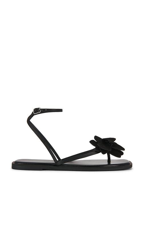 Free People Mismatch Magnolia Sandal in Black by FREE PEOPLE