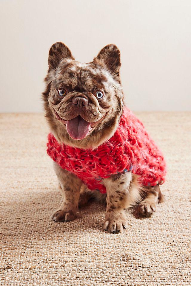 Chunky Dog Sweater by FRENCH KNOT | FREE PEOPLE