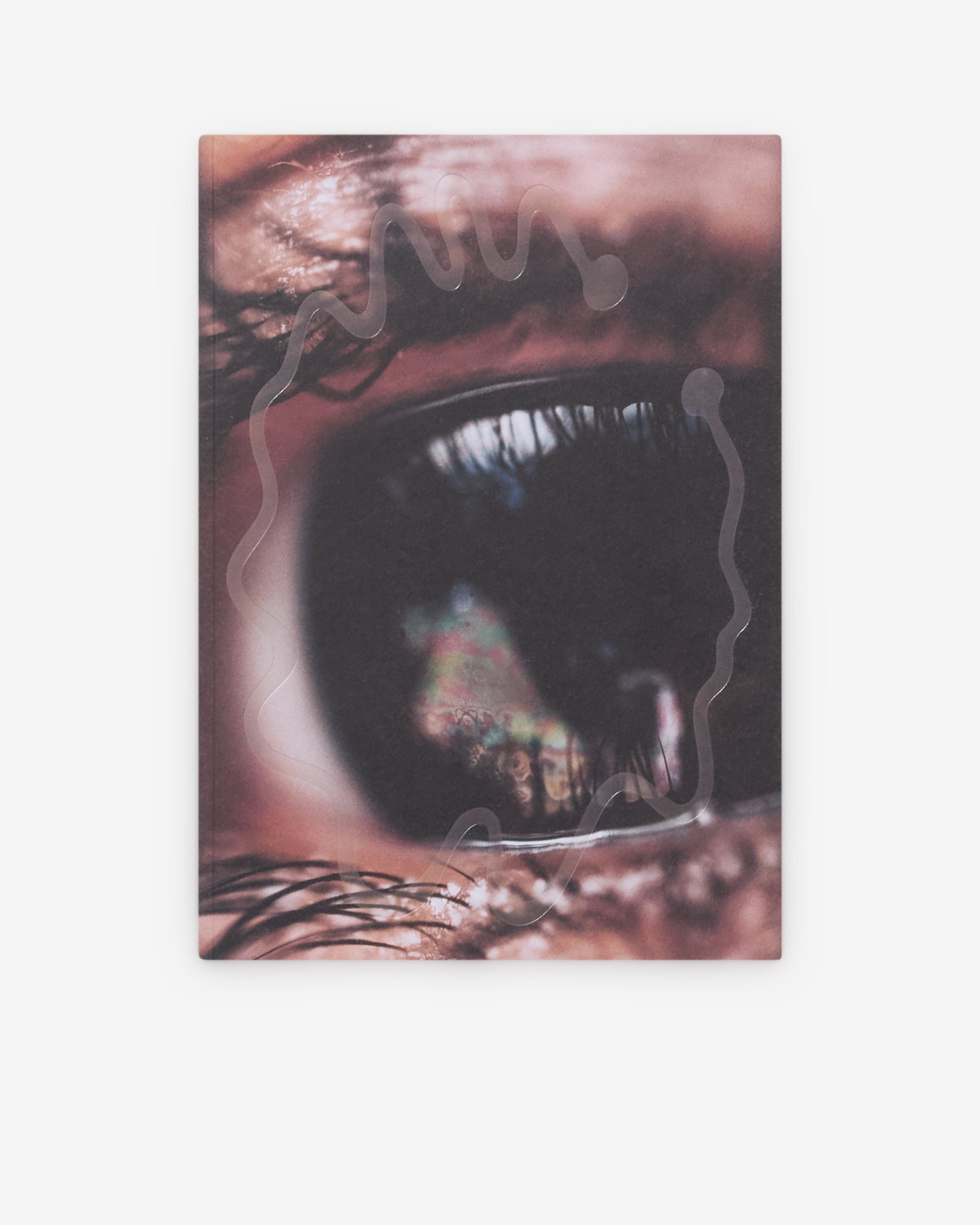 Friend Editions - Pray To Be A Bird by Colin Sussingham by FRIEND EDITIONS