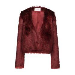 Manouchi jacket by GALVAN