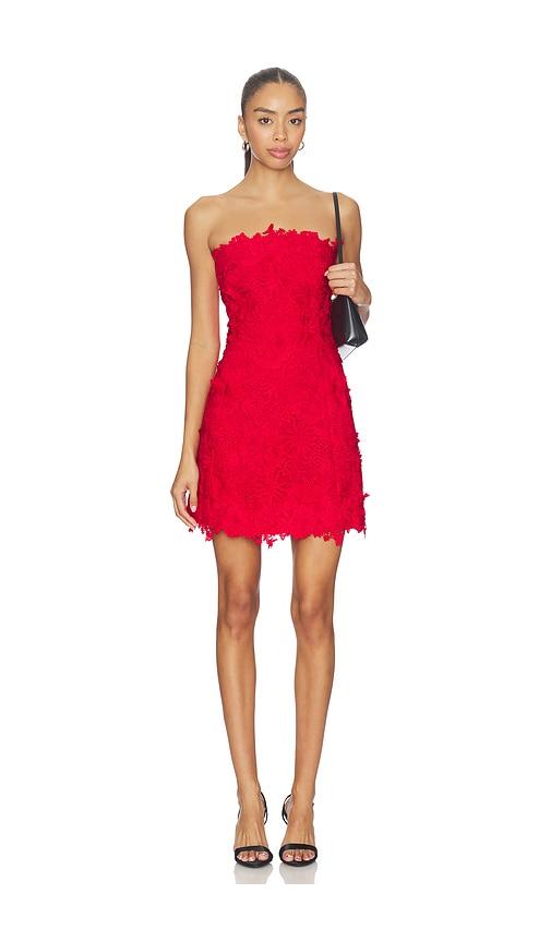 Generation Love Lydia 3d Lace Dress in Red by GENERATION LOVE