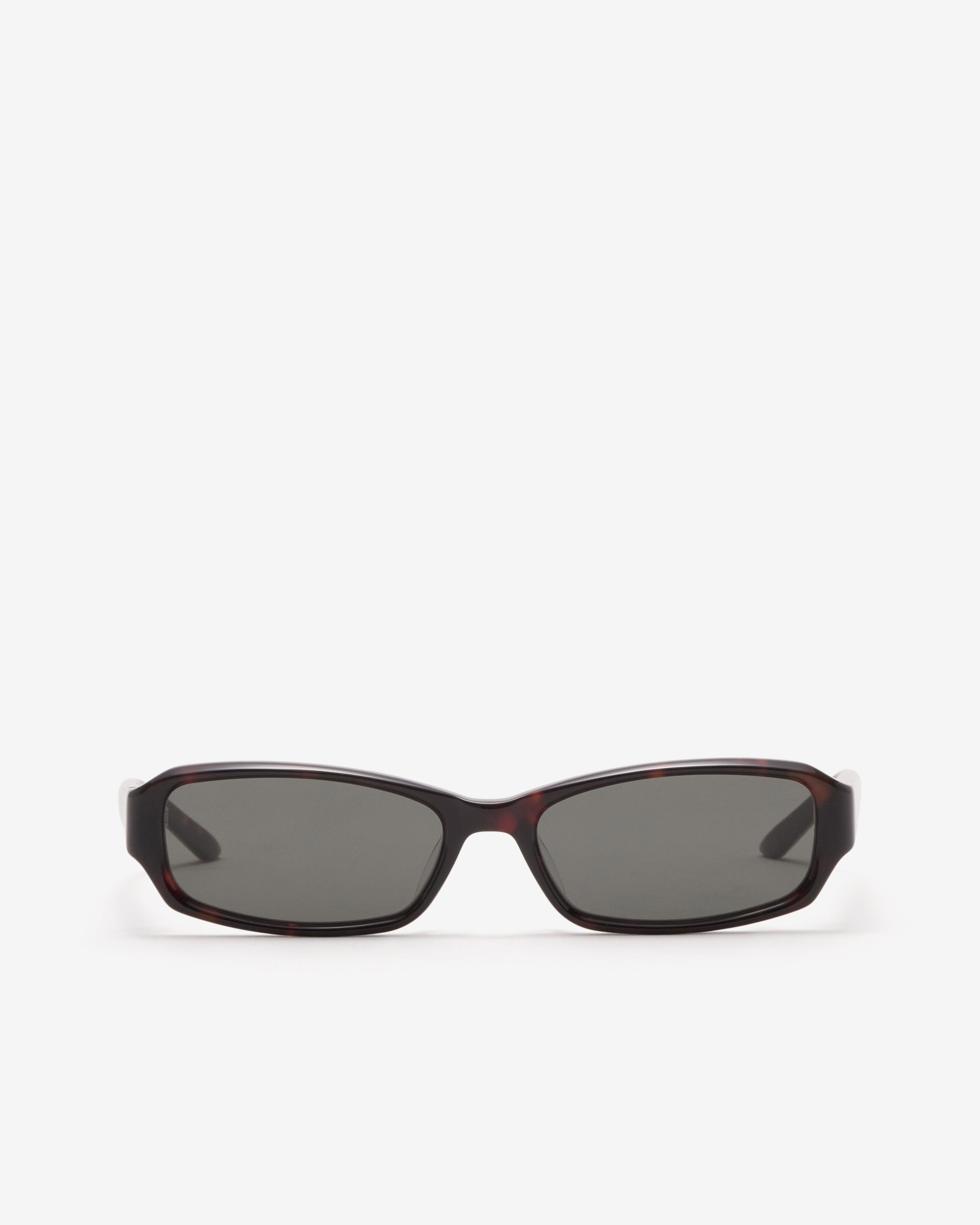 Gentle Monster -  Halo-T1 - (Tortoise/Black) by GENTLE MONSTER