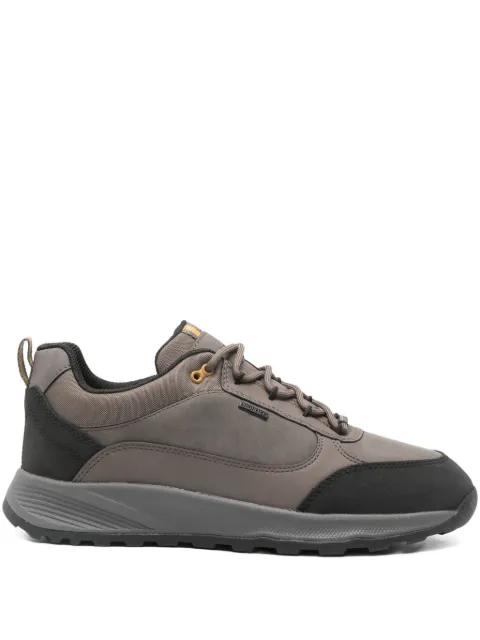 leather trainers by GEOX