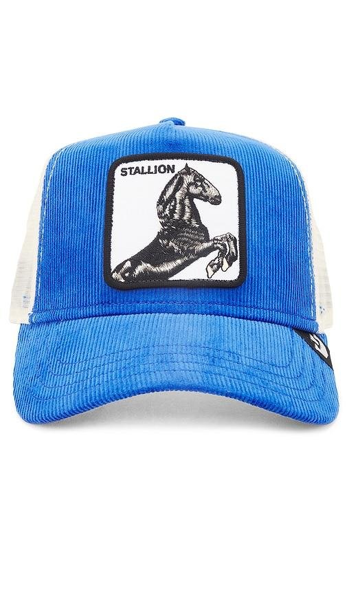 Goorin Brothers Sly Stallion Hat in Blue by GOORIN BROS