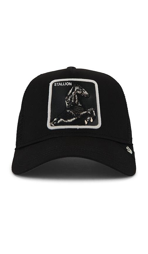 Goorin Brothers Stallion Trucker Hat in Black by GOORIN BROS
