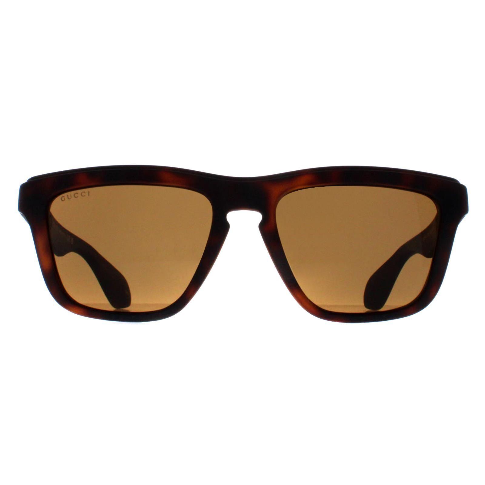 Rectangle Havana Brown GG1571S by GUCCI