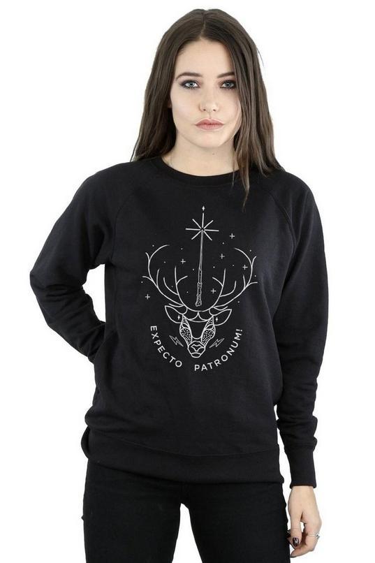 Expecto Patronum Charm Sweatshirt by HARRY POTTER