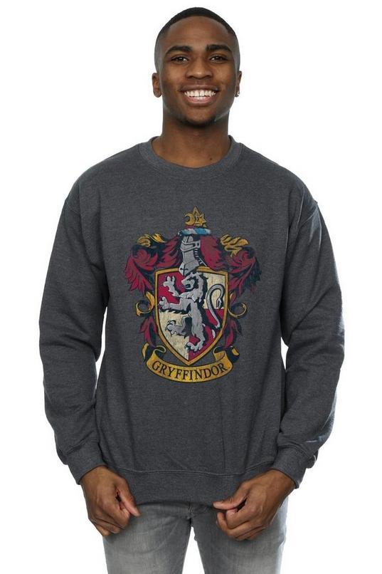 Gryffindor Sweatshirt by HARRY POTTER