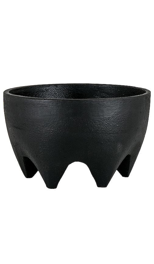 HAWKINS NEW YORK Alyson Fox Footed Bowl in Black by HAWKINS NEW YORK