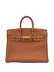 2019 25 Birkin tote bag by HERMES 