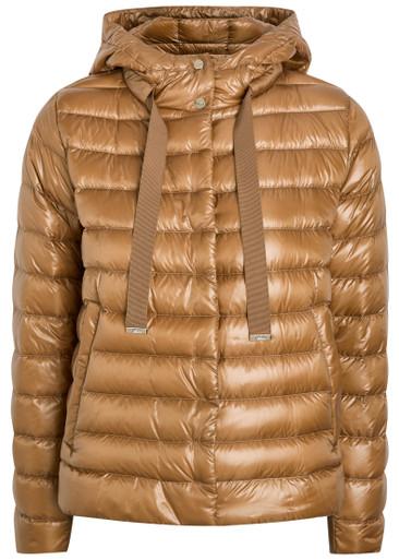 Padded nylon jacket by HERNO