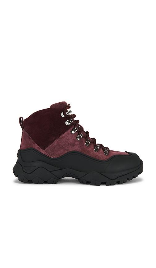 Hunter Jasper Boot in Wine by HUNTER