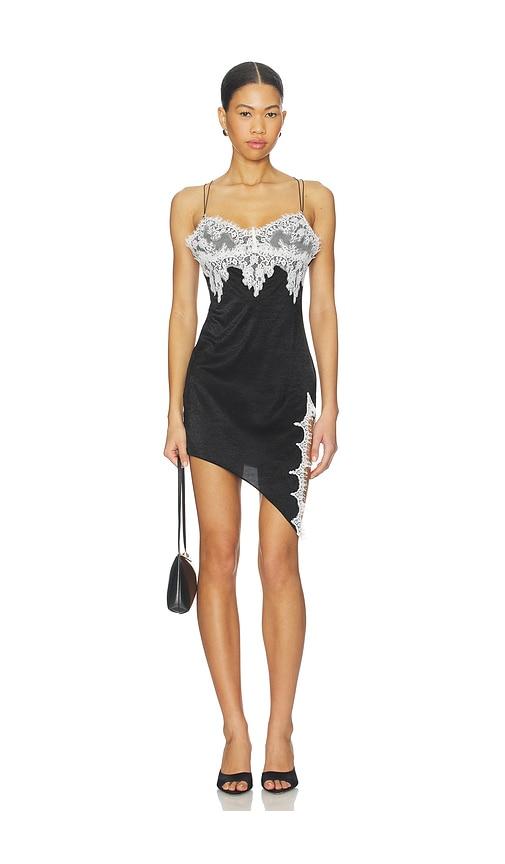 I.AM.GIA Zarina Dress in Black,White by I.AM.GIA