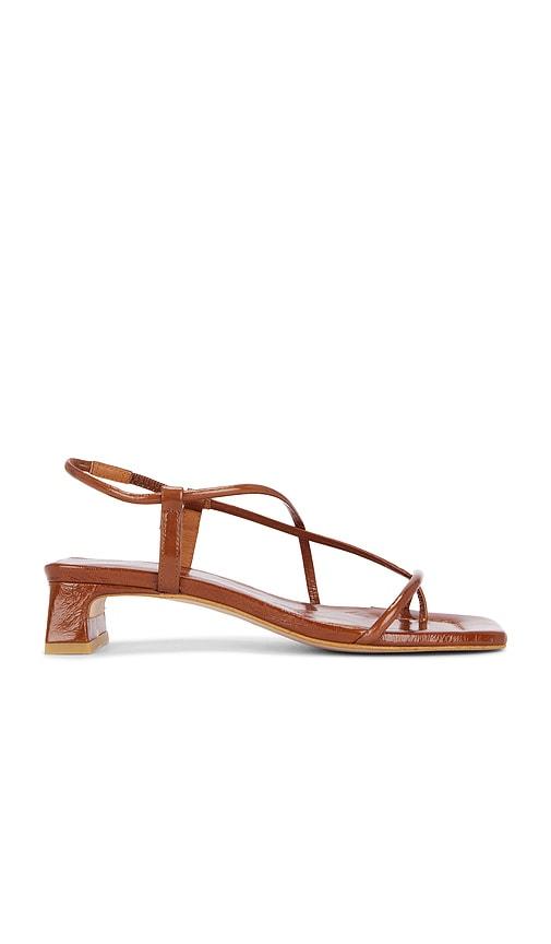 INTENTIONALLY BLANK Anca Sandal in Brown by INTENTIONALLY BLANK
