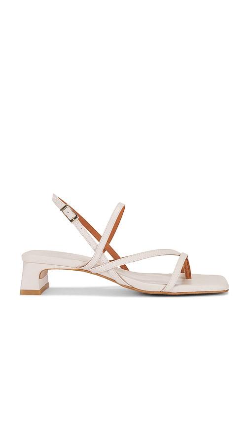 INTENTIONALLY BLANK Pup Sandal in Cream by INTENTIONALLY BLANK