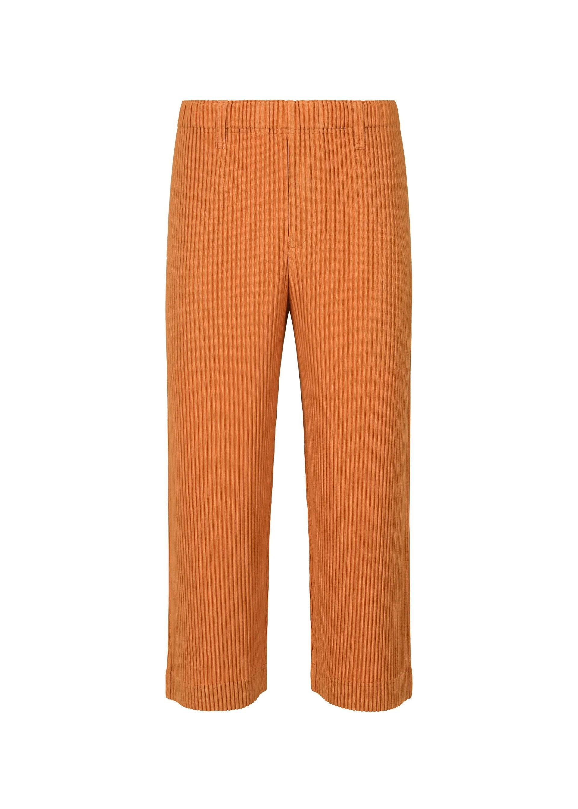 TAILORED PLEATS 2 by ISSEY MIYAKE