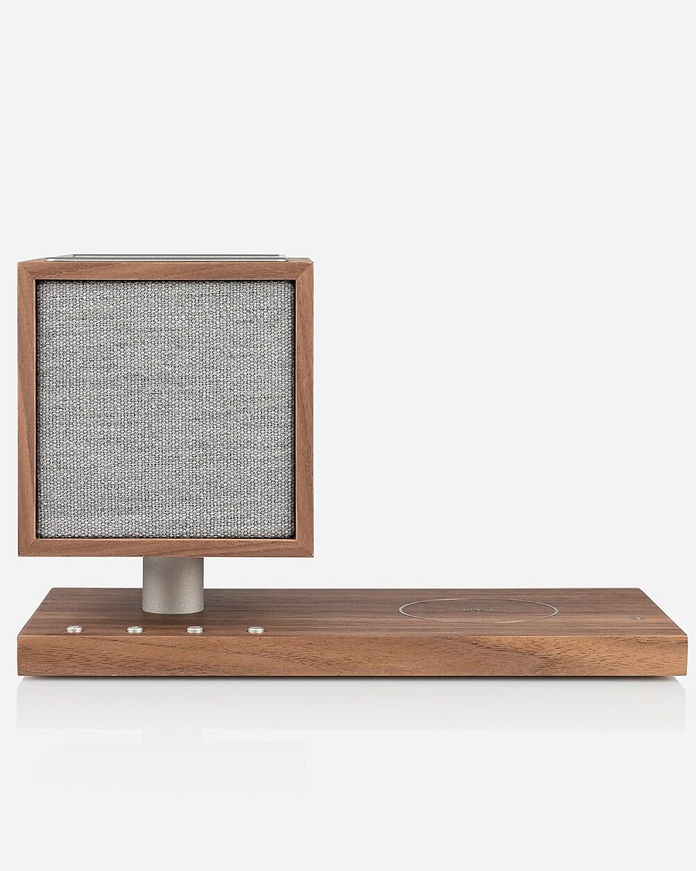 Tivoli Audio Revive by J.CREW