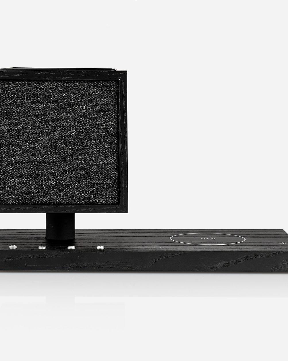 Tivoli Audio Revive by J.CREW