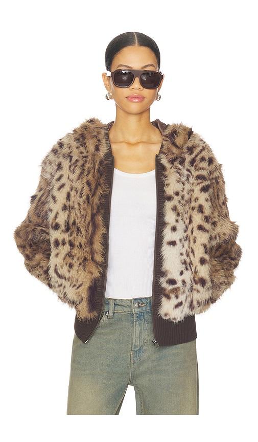 Jaded London Bear Faux Fur Jacket in Brown by JADED LONDON