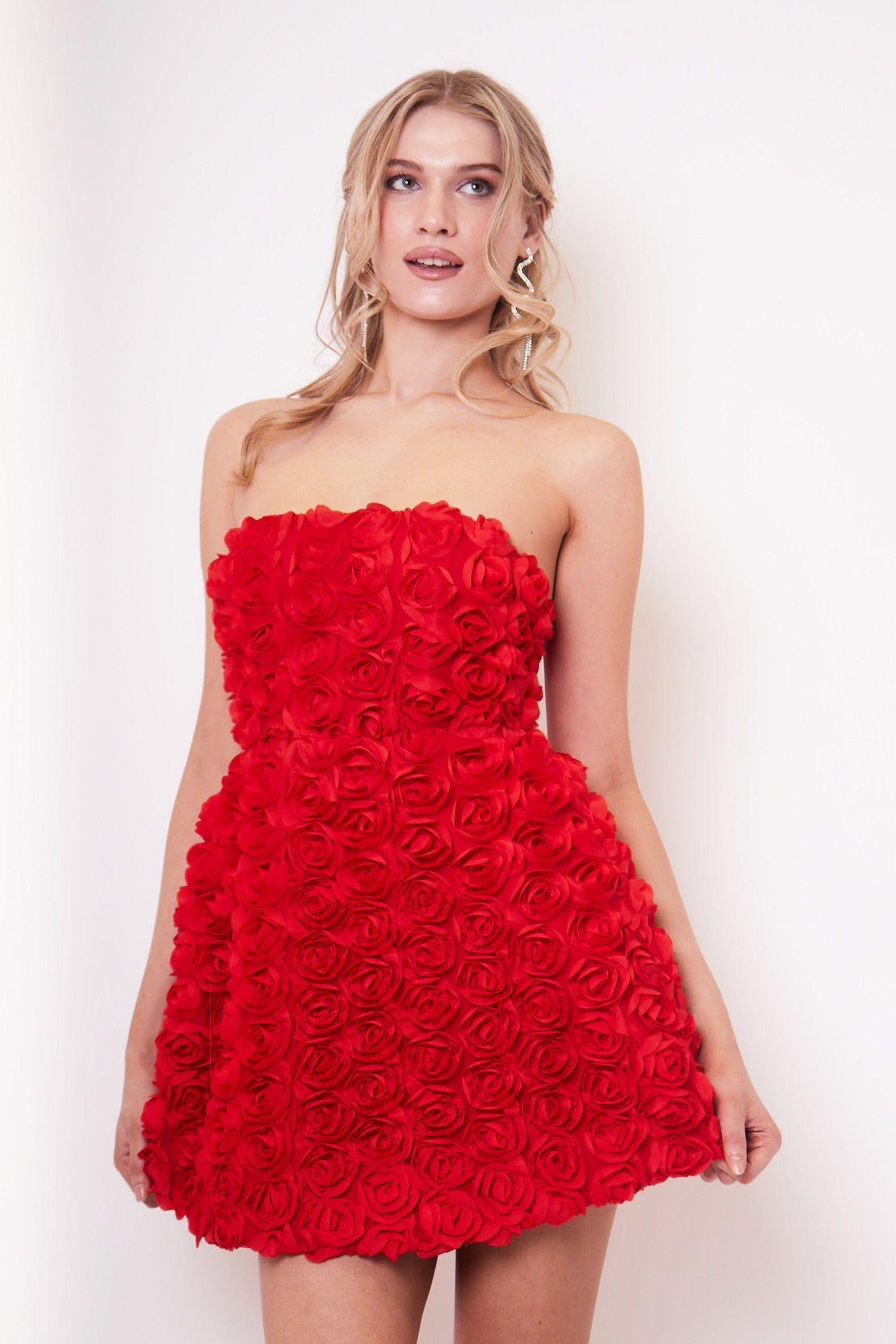Jumi Red Rose Appliqué A Line Mini Dress by JADED ROSE