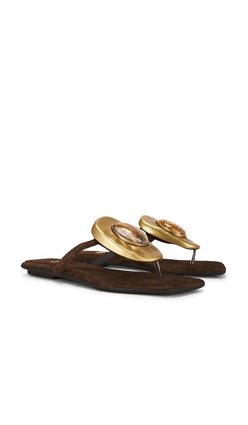 Jeffrey Campbell Bazaar Flat Sandal in Brown by JEFFREY CAMPBELL