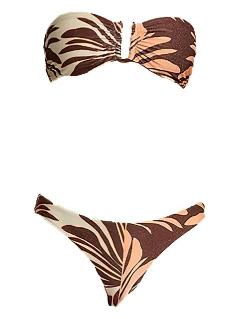 Dahlia Palm bikini top by JETS AUSTRALIA