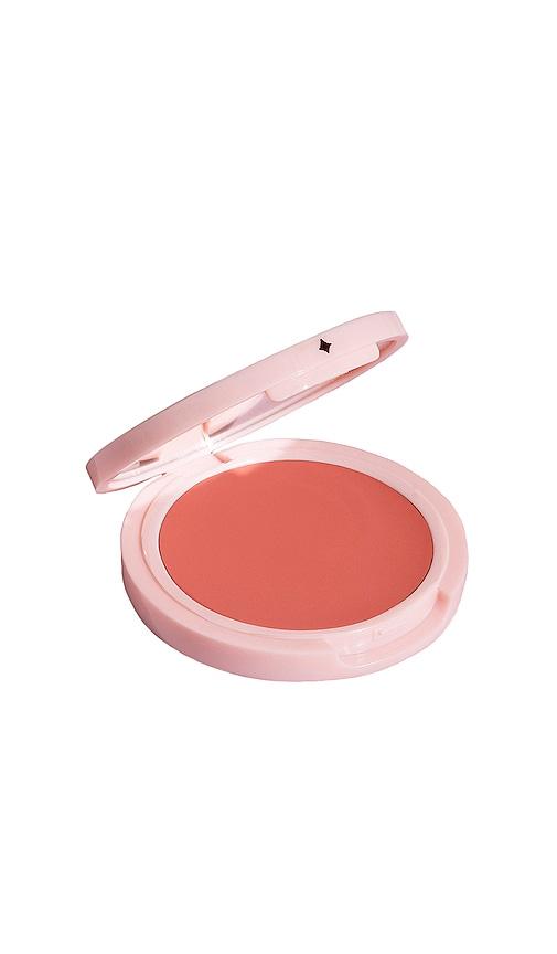 Jillian Dempsey Cheek Tint in Petal by JILLIAN DEMPSEY