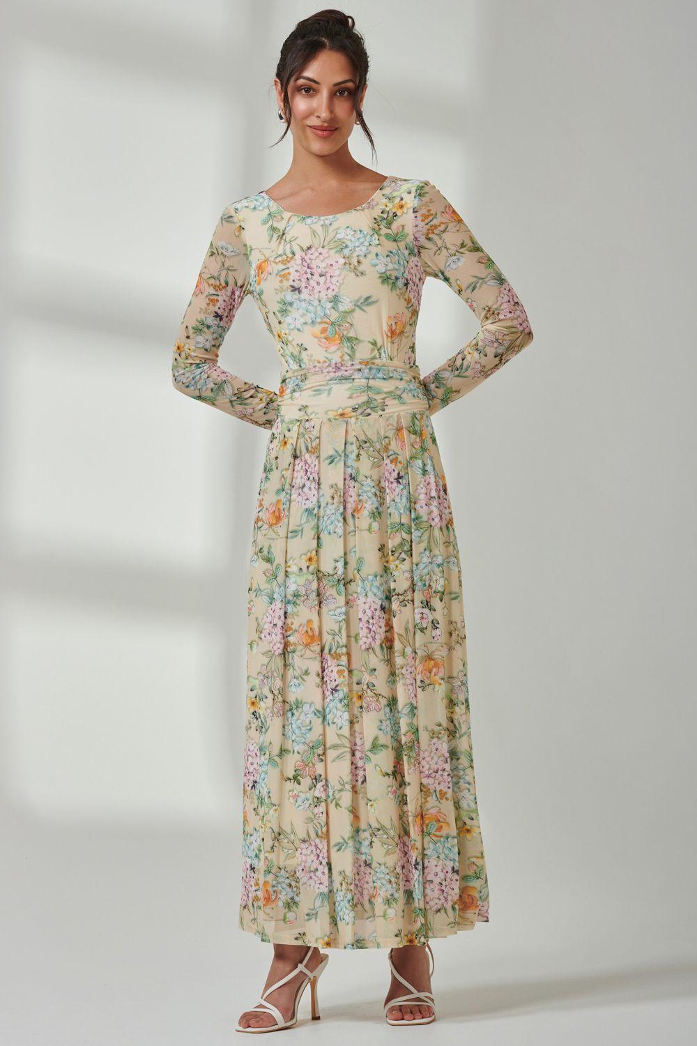 Floral Long Sleeve Mesh Maxi Dress by JOLIE MOI