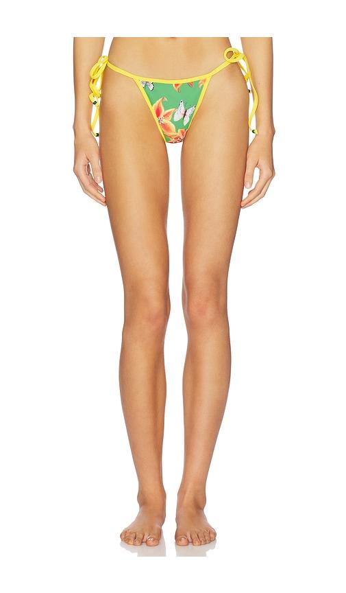 Juliet Johnstone Painted Lady Bikini Bottom in Green by JULIET JOHNSTONE