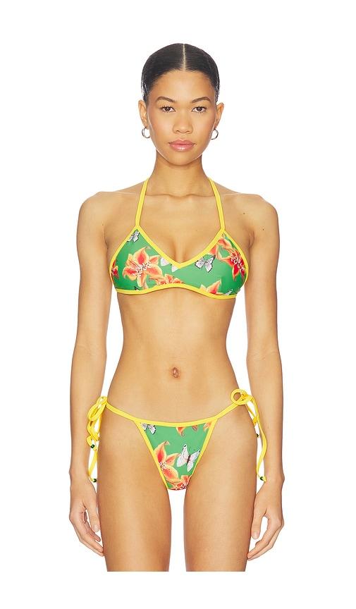 Juliet Johnstone Painted Lady Bikini Top in Green by JULIET JOHNSTONE