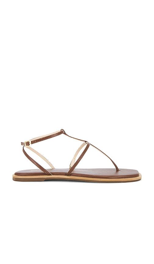 Kaanas Aisha Strappy Gladiator Sandal in Tan by KAANAS