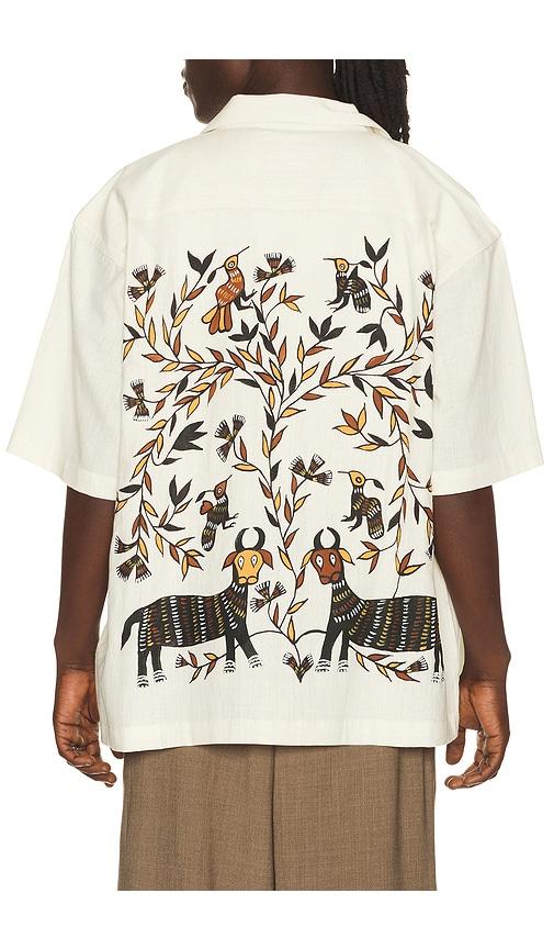 Kardo Rohit Shirt in Cream by KARDO