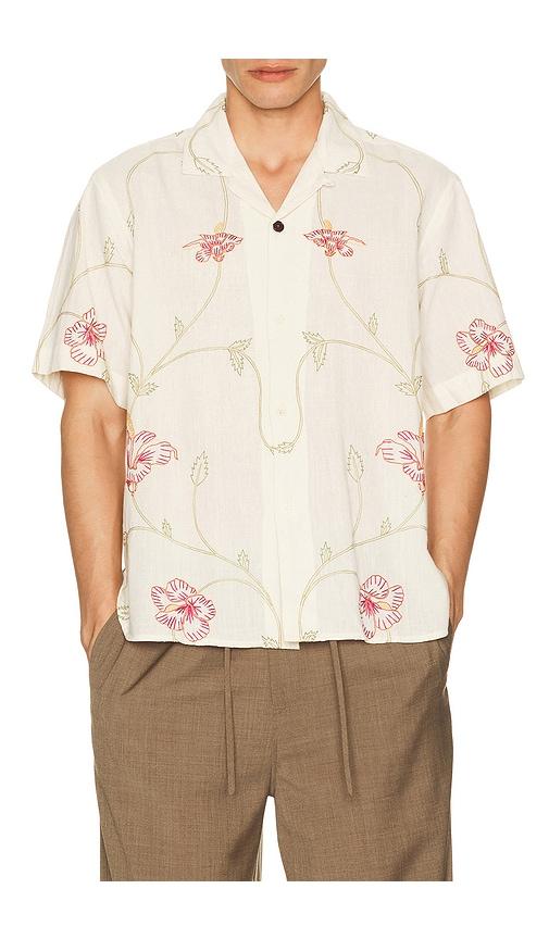 Kardo Ronen Shirt in Cream by KARDO