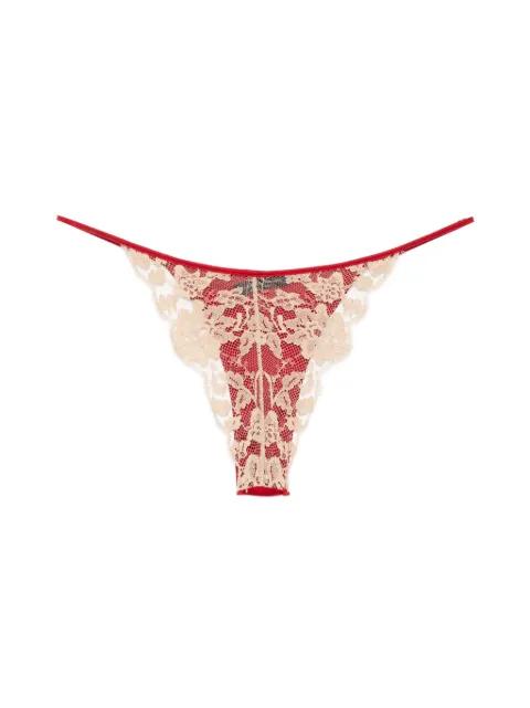 Orchid brief by KIKI DE MONTPARNASSE
