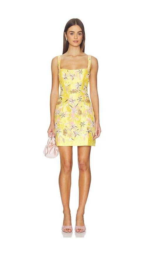 LA FUORI Golden Hour Lily Mini Dress in Yellow by LA FUORI
