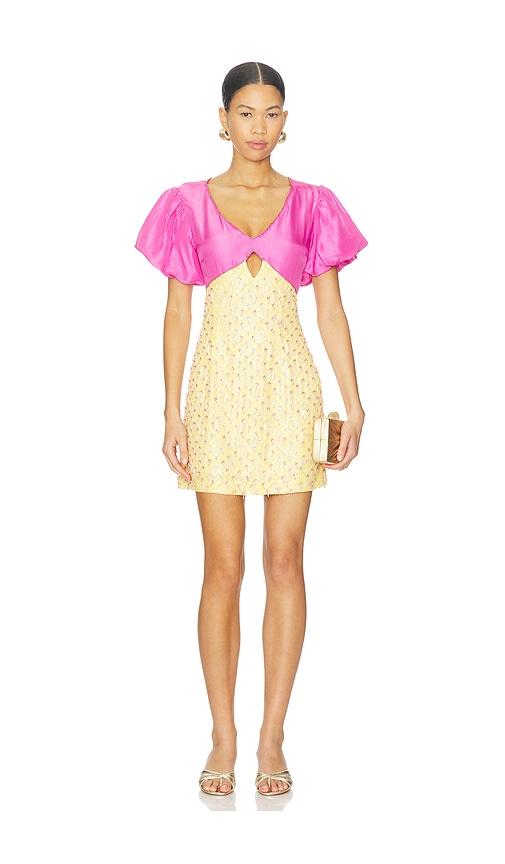 LA FUORI Lime Candy Mini Dress in Yellow by LA FUORI