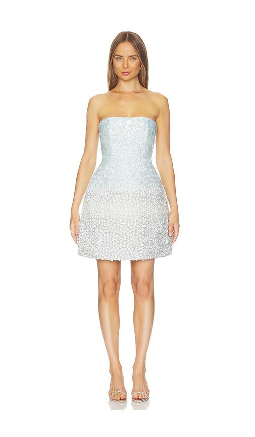 LA FUORI Mystical Garden Embroidered Dress in Baby Blue by LA FUORI