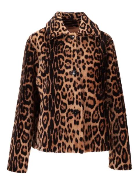 button leopard-print jacket by LA-ROSE