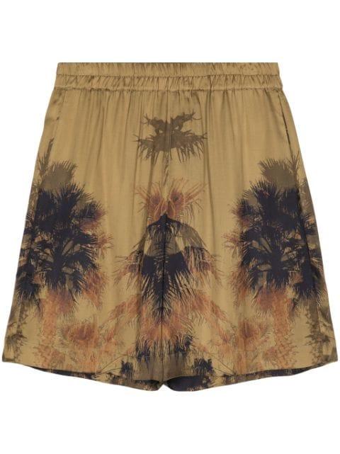 Laneus palm tree-print bermuda shorts by LANEUS