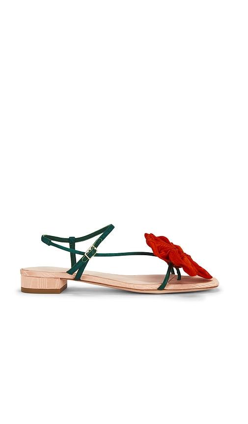 Loeffler Randall Genevieve Flower Applique Flat Sandal in Red,Green by LOEFFLER RANDALL