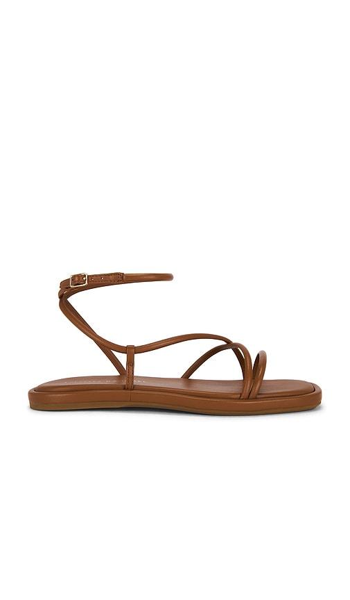 Loeffler Randall Noor Strappy Ankle Wrap Flat Sandal in Brown by LOEFFLER RANDALL