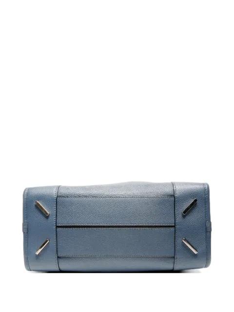 2000-2020 Amazona handbag by LOEWE 