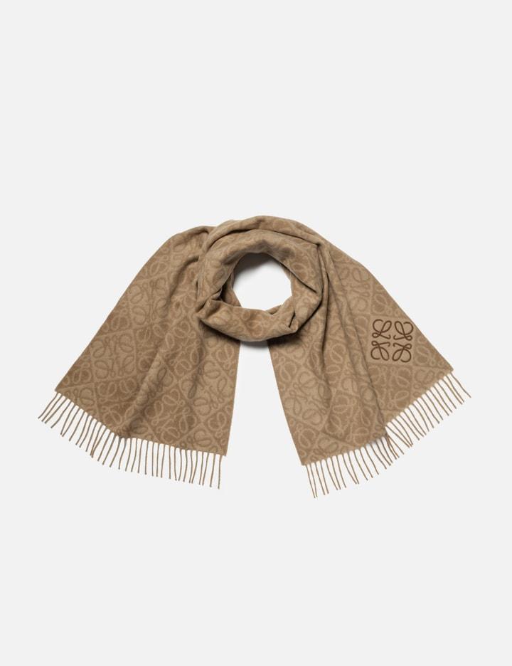 Anagram Scarf by LOEWE