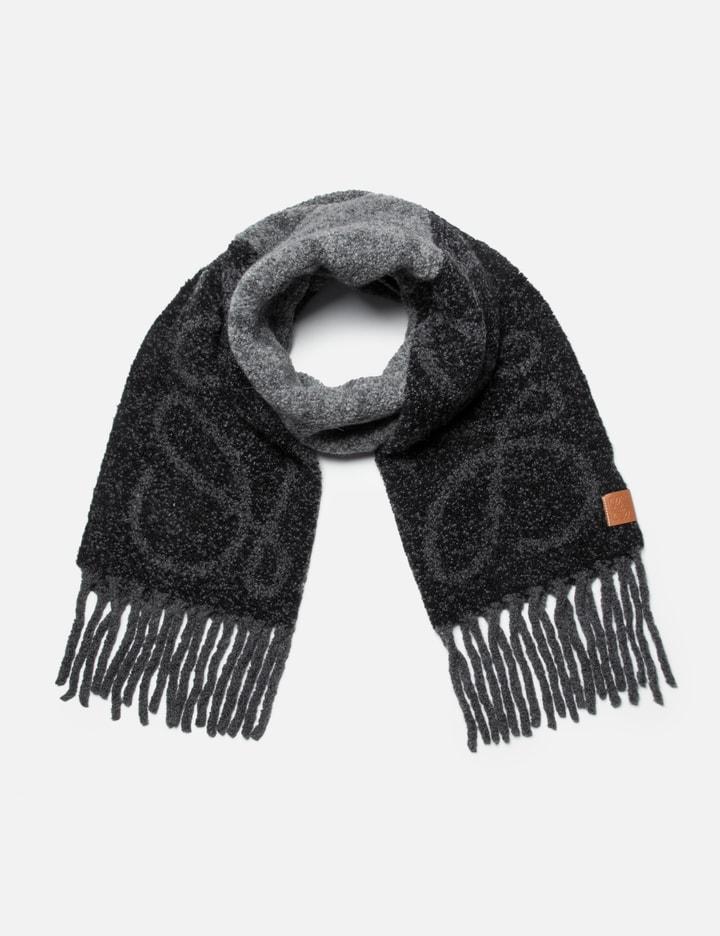 Anagram Scarf by LOEWE