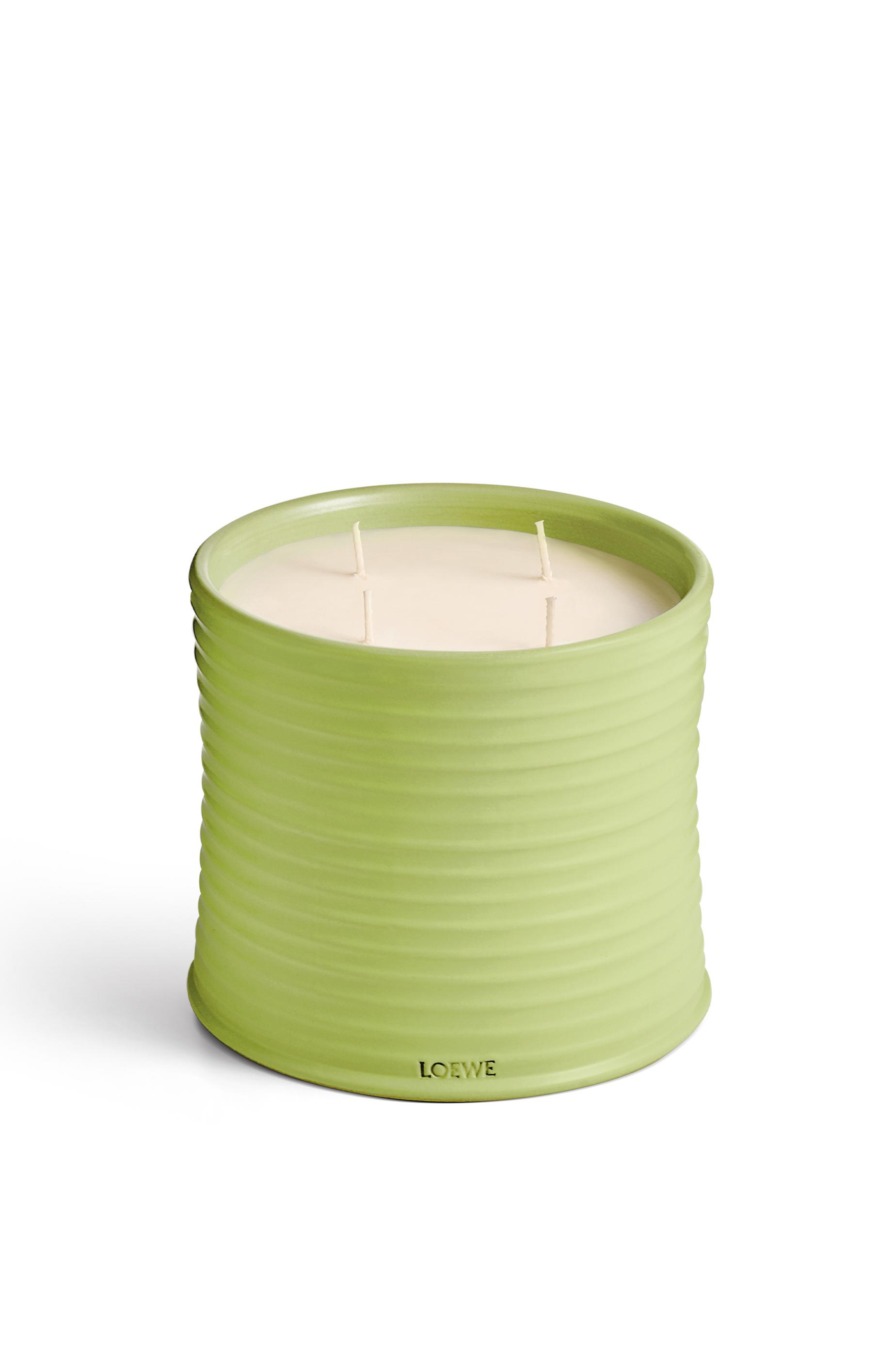 Large Cucumber candle by LOEWE