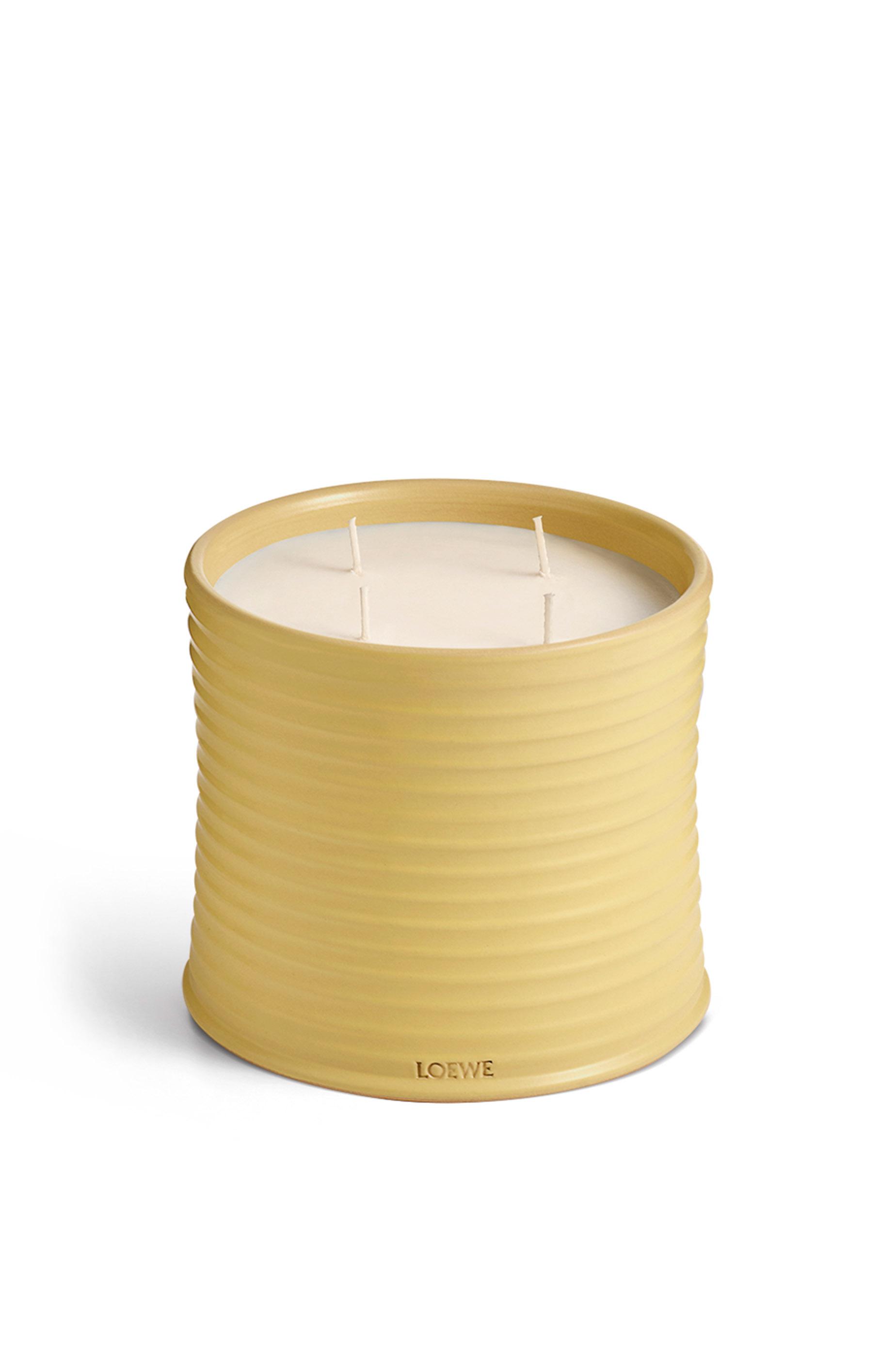 Large Honeysuckle candle by LOEWE