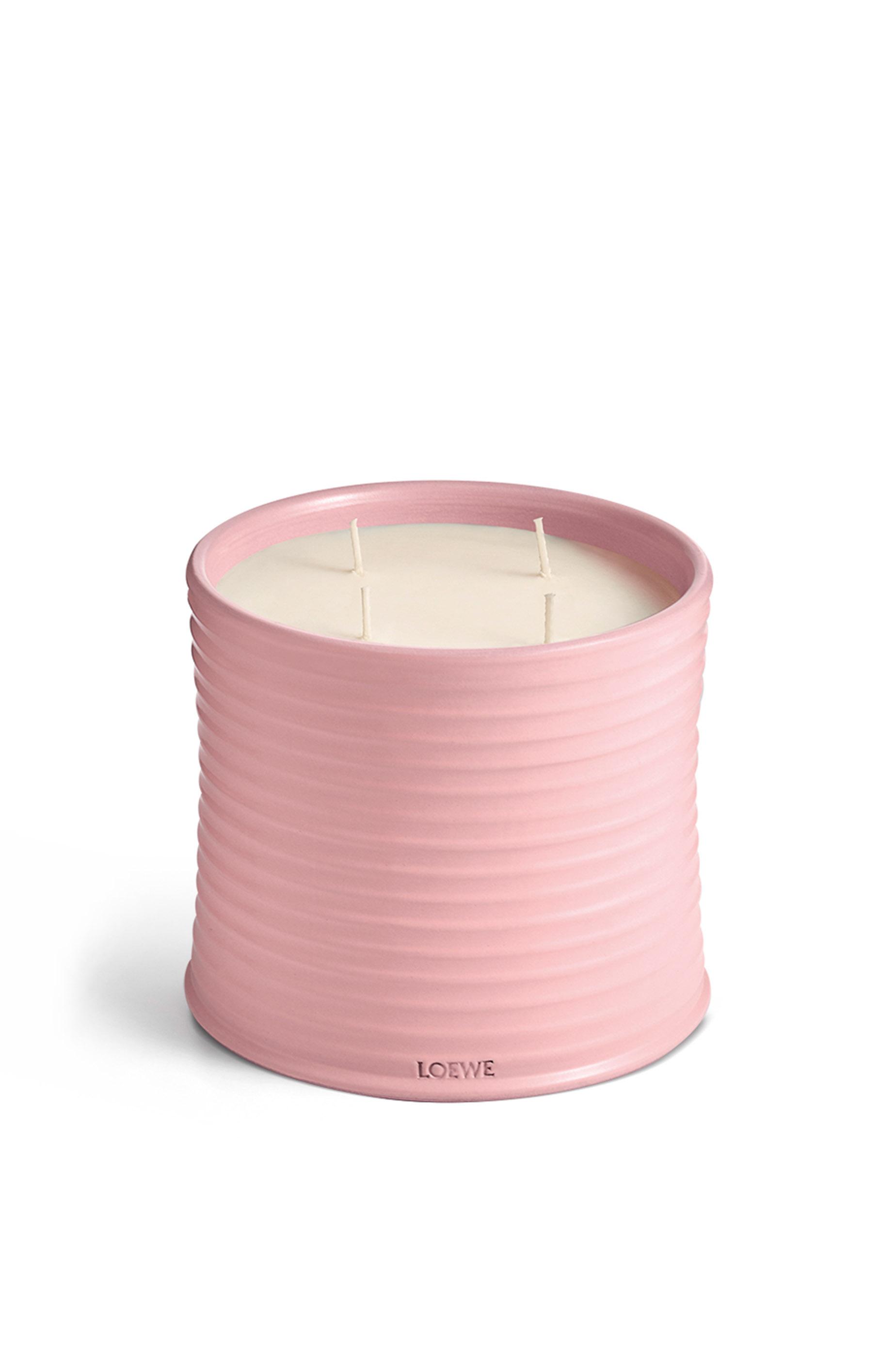Large Ivy candle by LOEWE