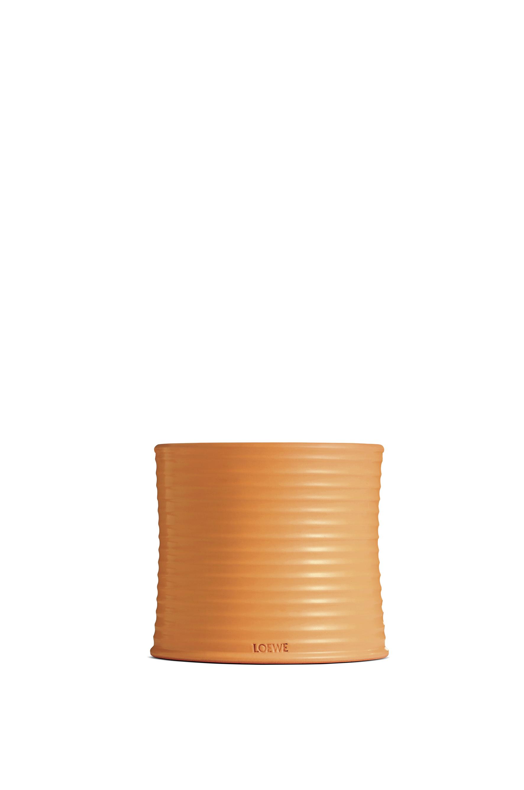Large Orange Blossom candle by LOEWE