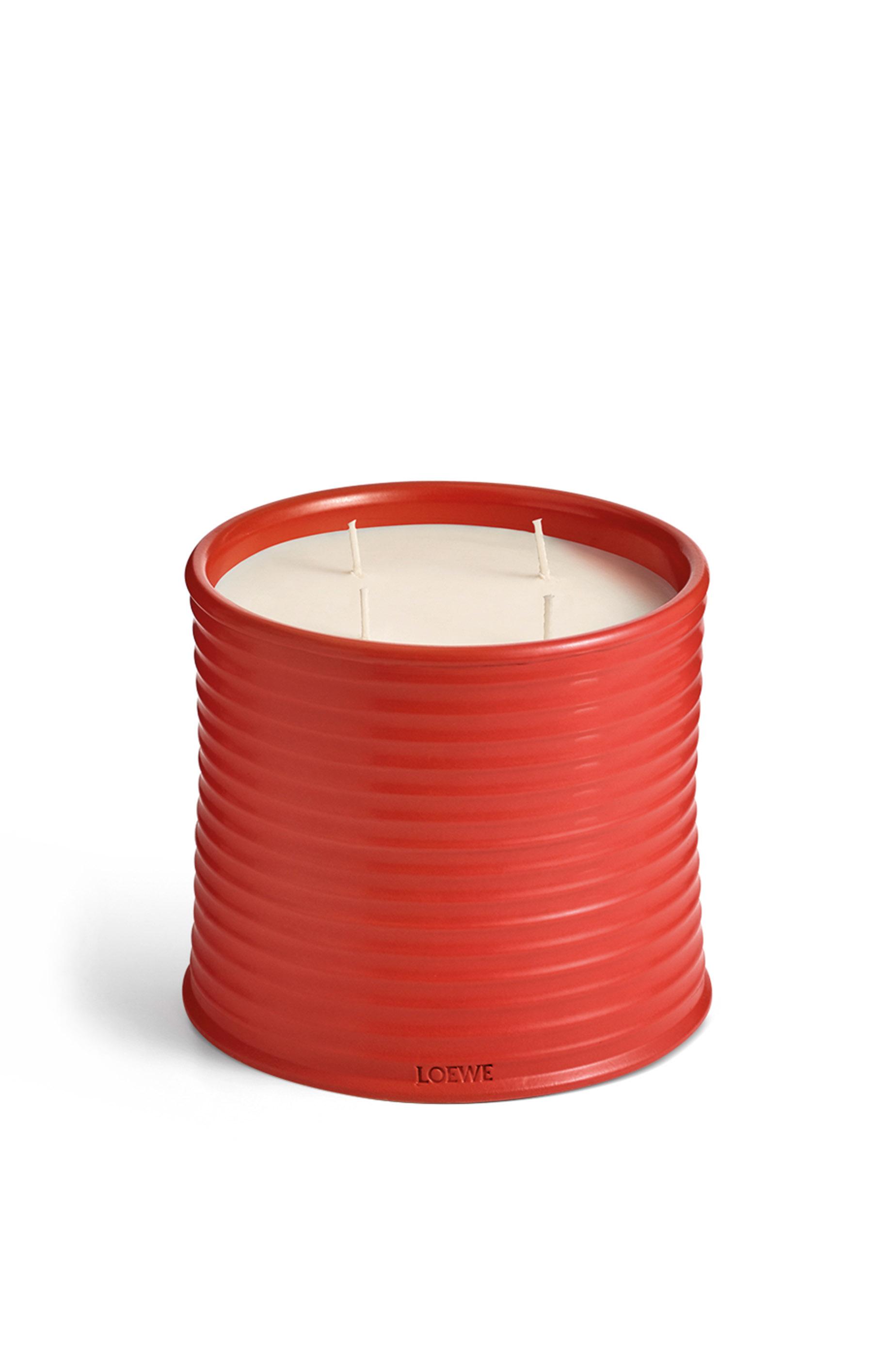 Large Tomato Leaves candle by LOEWE