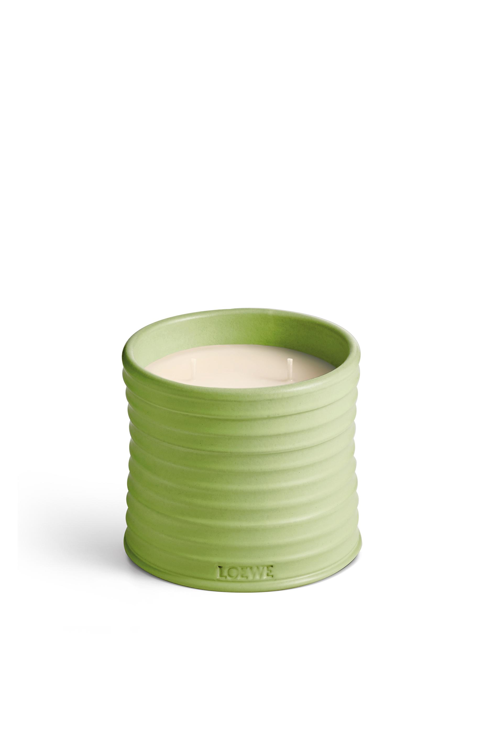 Medium Cucumber candle by LOEWE